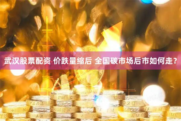 武汉股票配资 价跌量缩后 全国碳市场后市如何走？