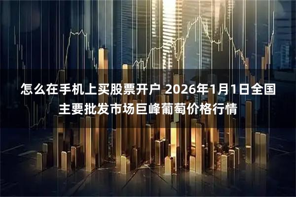 怎么在手机上买股票开户 2026年1月1日全国主要批发市场巨峰葡萄价格行情